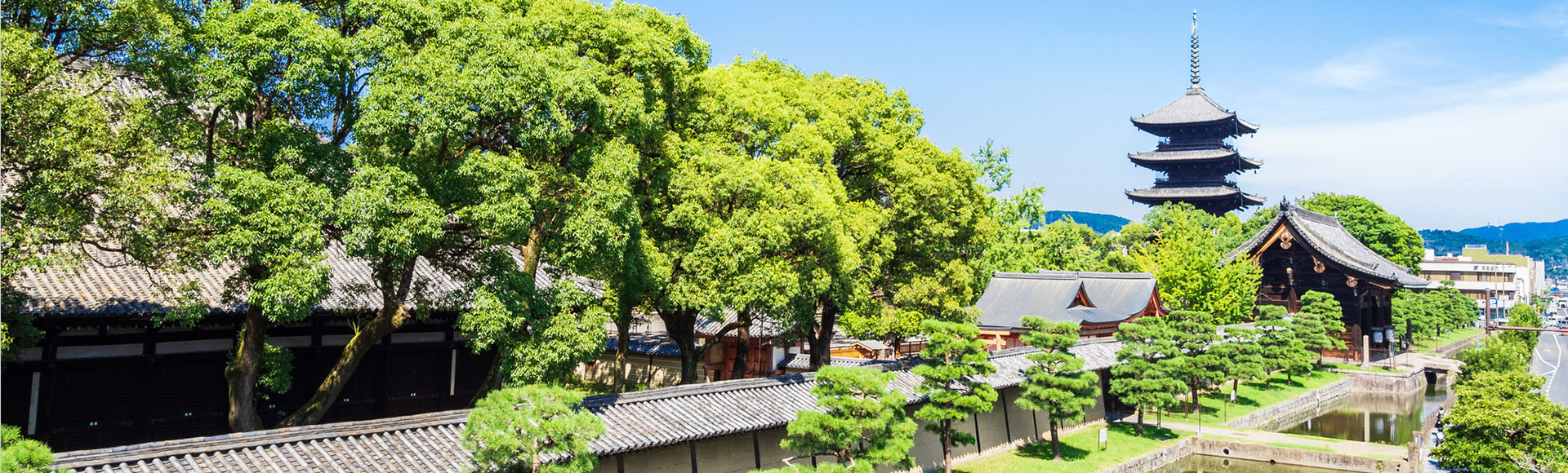 京都市南区に密着